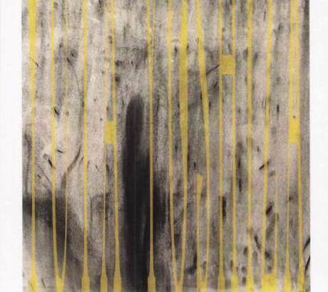 YUTA YOSHIZAWA Exhibition
